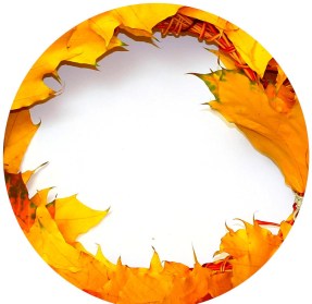 autumn-wreath-circle-frame-182408.jpg